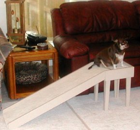 Customer Notes Photos Chihuahua Ramp For A Sofa