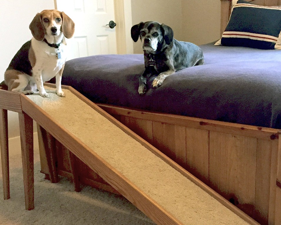 Bed Ramps For Pets