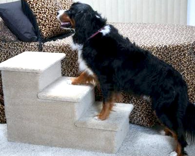 Carpeted Pet Steps