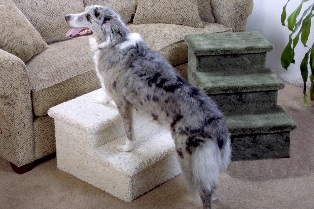 Pet Steps and Stairs