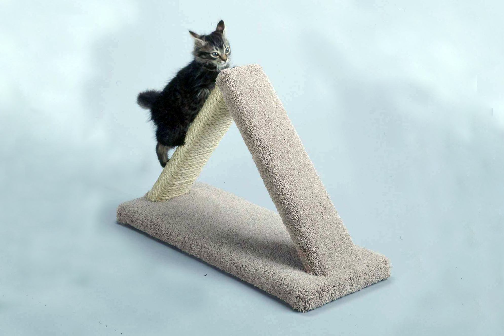 Triangle Cat Scratcher