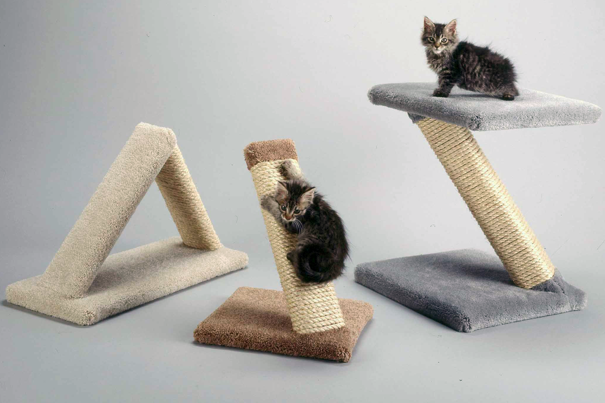 Carpet and Sisal Cat Scratchers