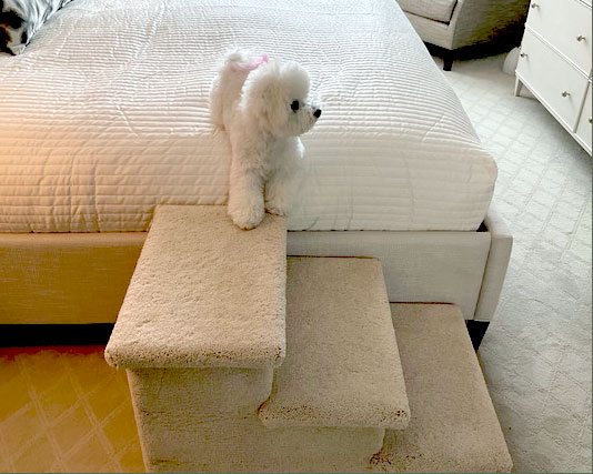 Pet Classics Stairs for Pets