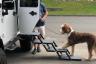 Folding Stairs for All Size Dogs