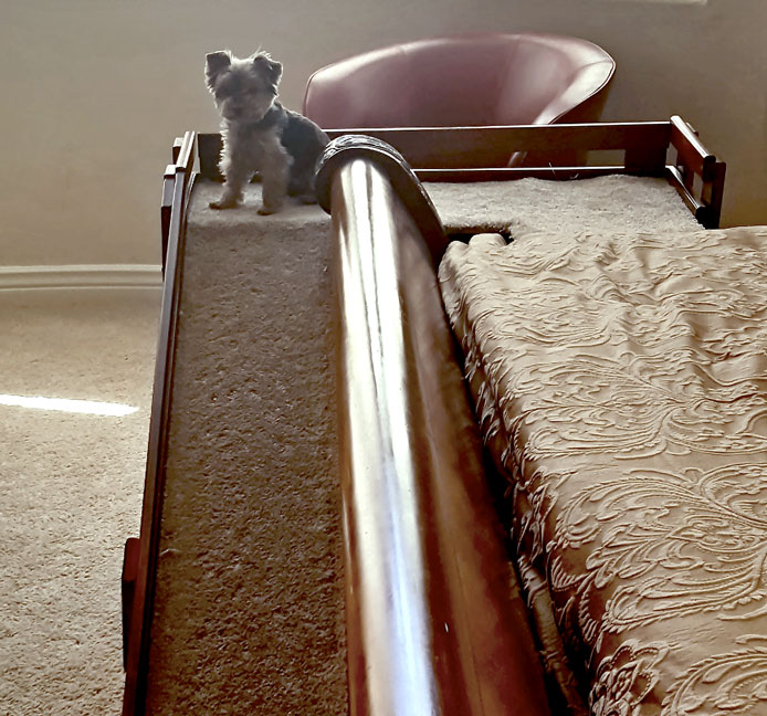 cat ramp bed
