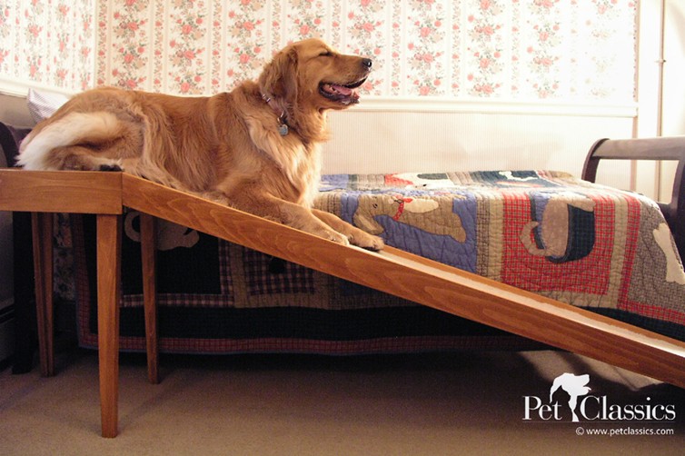 extra wide pet ramps for dogs