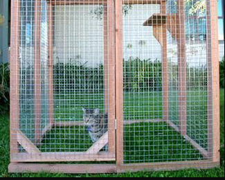 Outdoor Cat Enclosures - Pet Classics