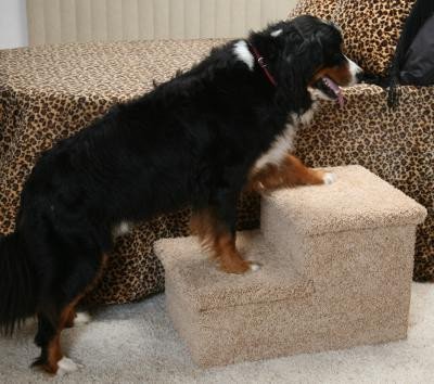 Pet Classics Stairs for Large Dogs