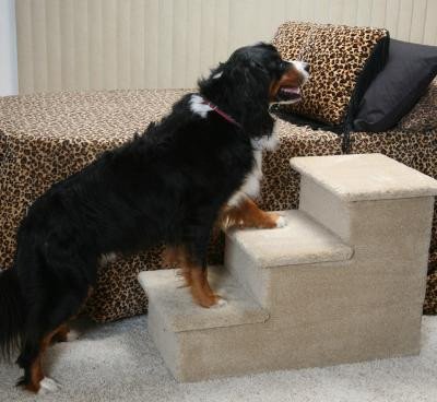 Carpeted Steps for Large Breed Dogs