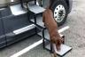 Folding Dog Stairs for Cars, Trucks, SUVs
