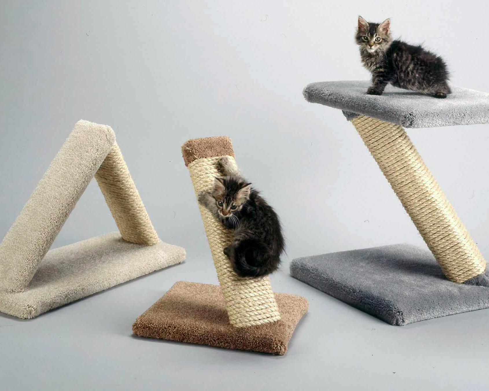 Triangle Cat Scratcher