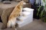 Pet Classics Stairs for Beds