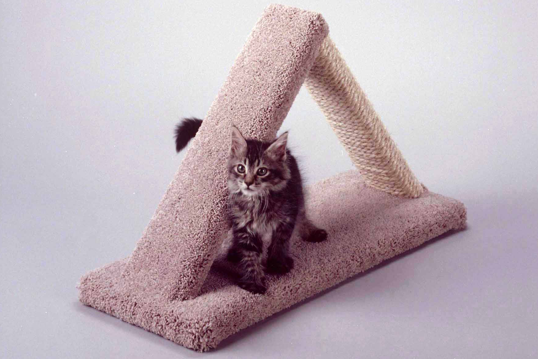 Triangle Scratching Post